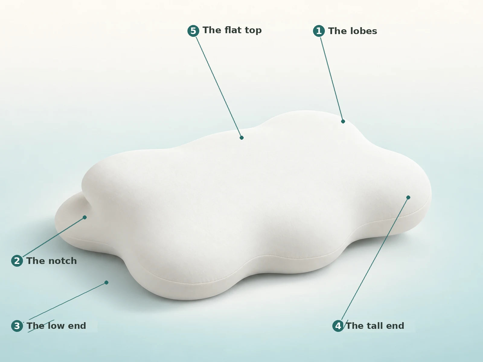 The Avena Cloud Pillow shown as a labelled cutaway: the lobes, the notch, the low end, the tall end and the flat top