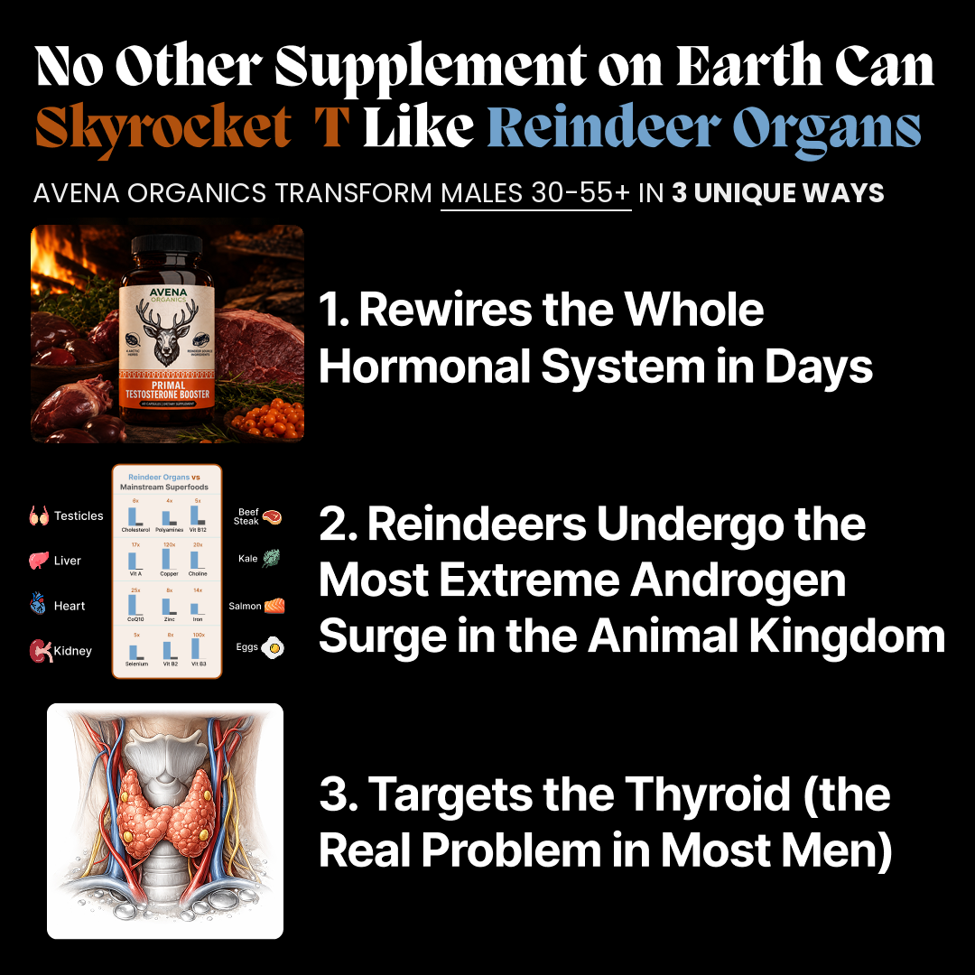 Primal Testosterone Booster