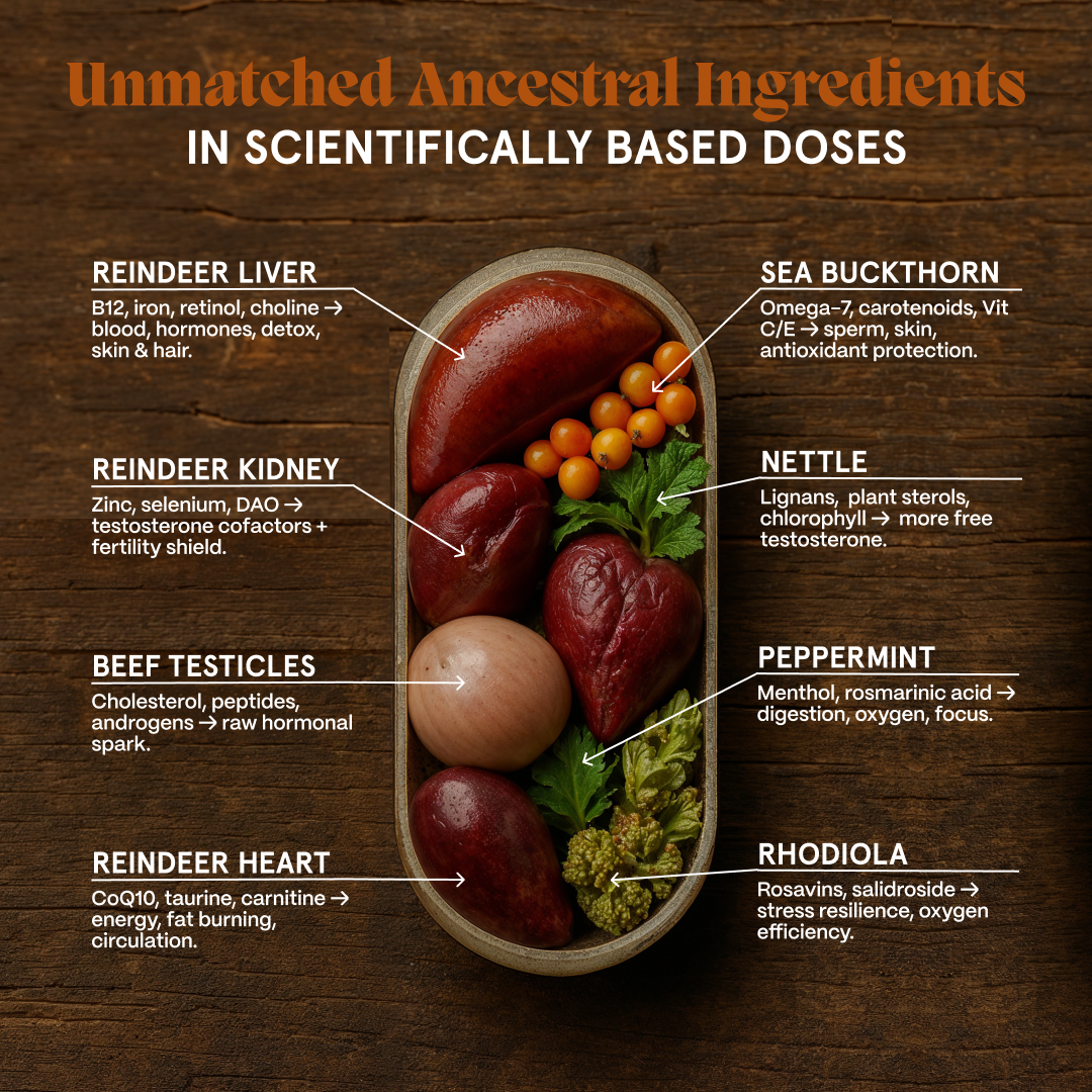 Primal Testosterone Booster