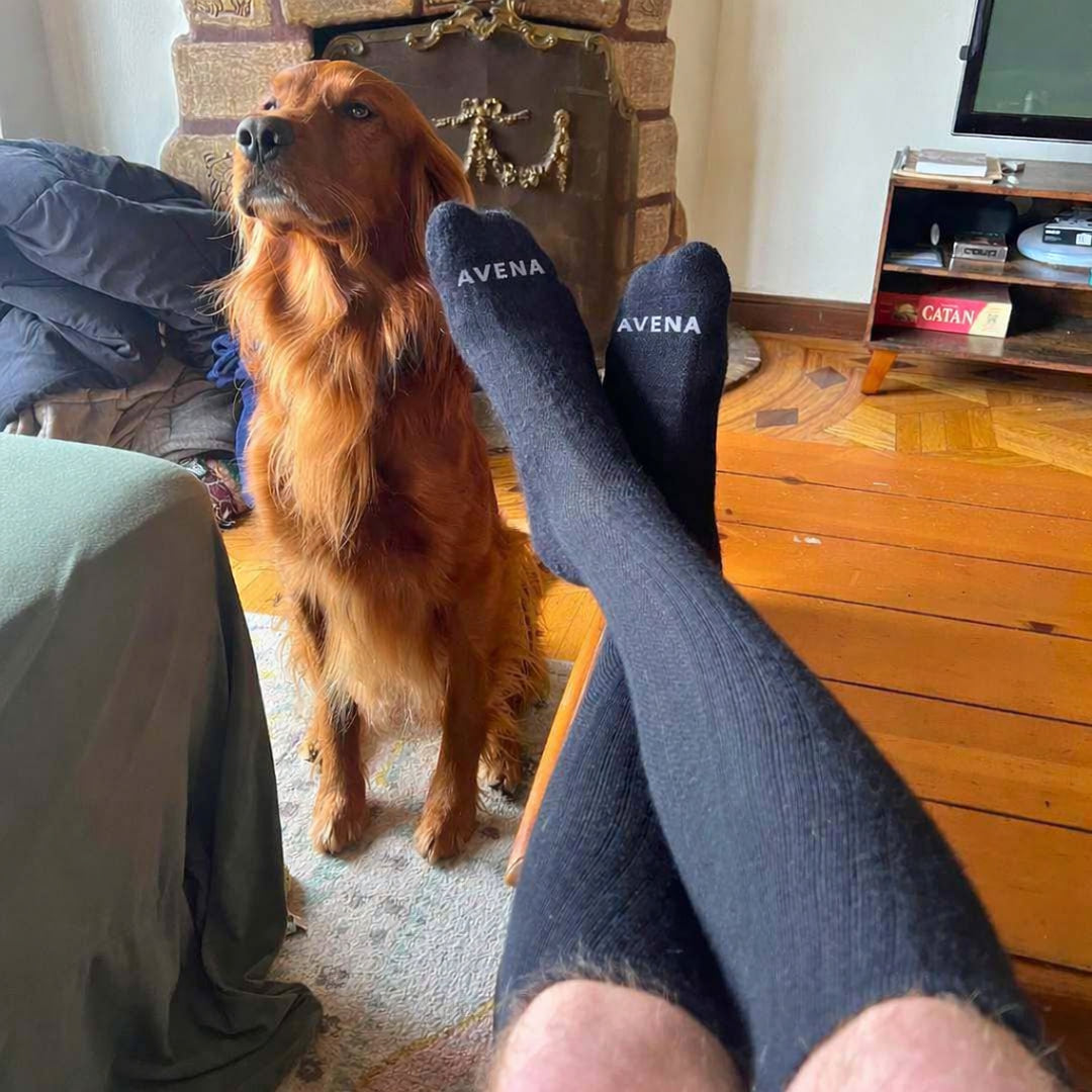 Existing customer photo of dark Avena socks beside a golden retriever