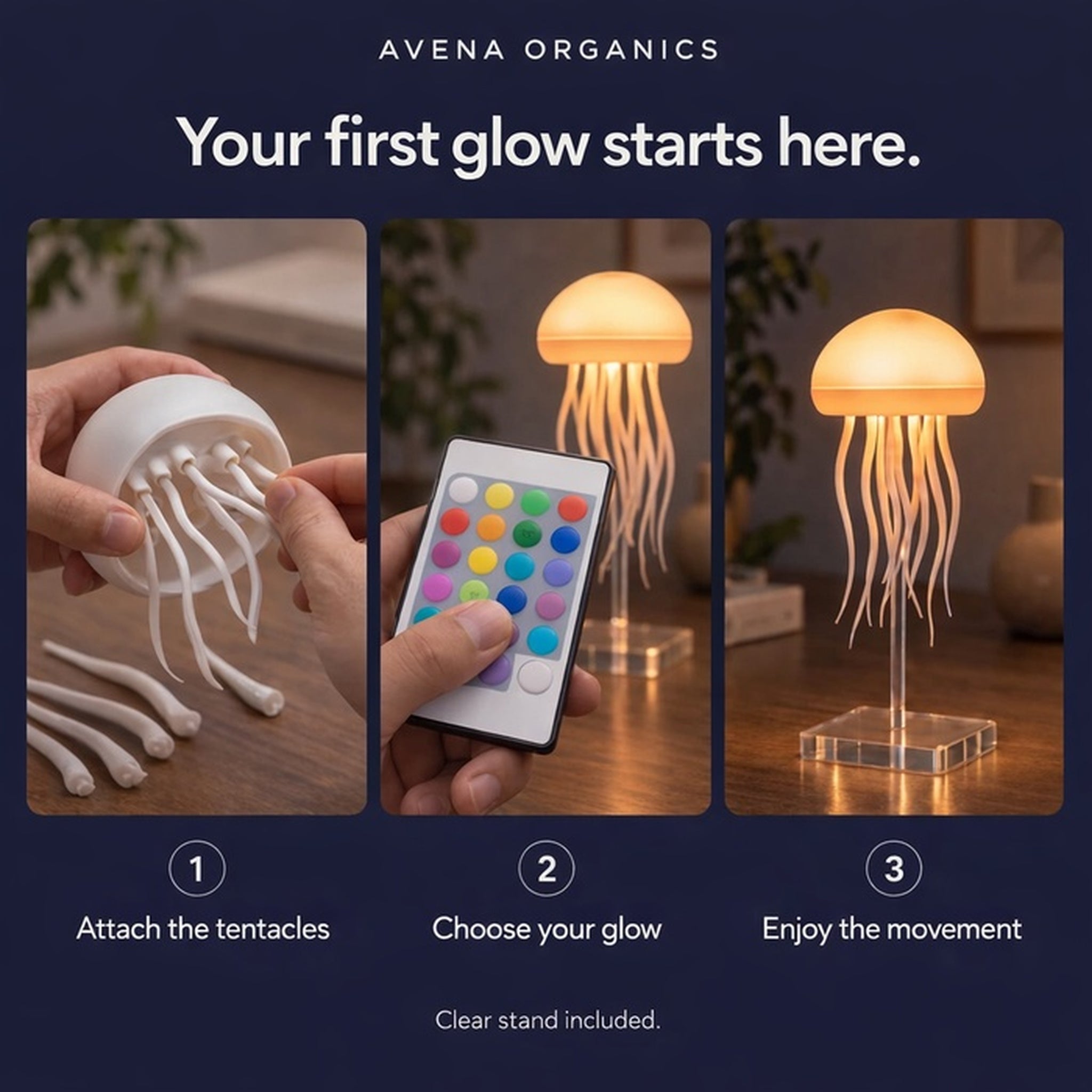 Dancing Glow Jellyfish reference photo 3