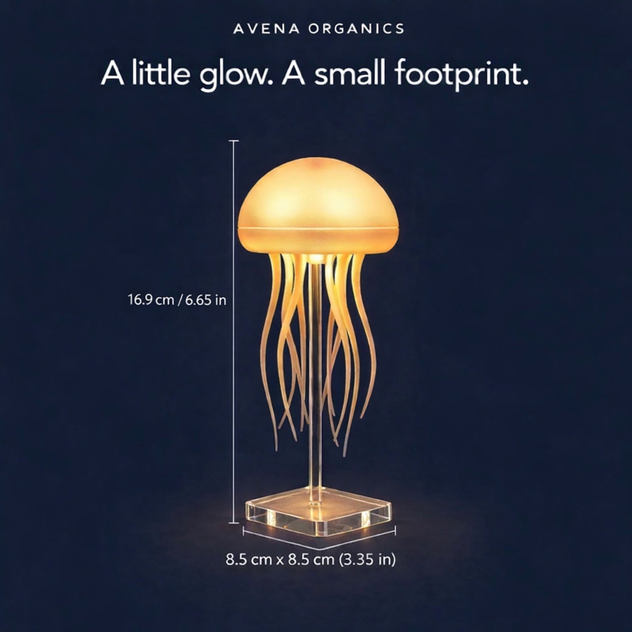 Dancing Glow Jellyfish reference photo 5