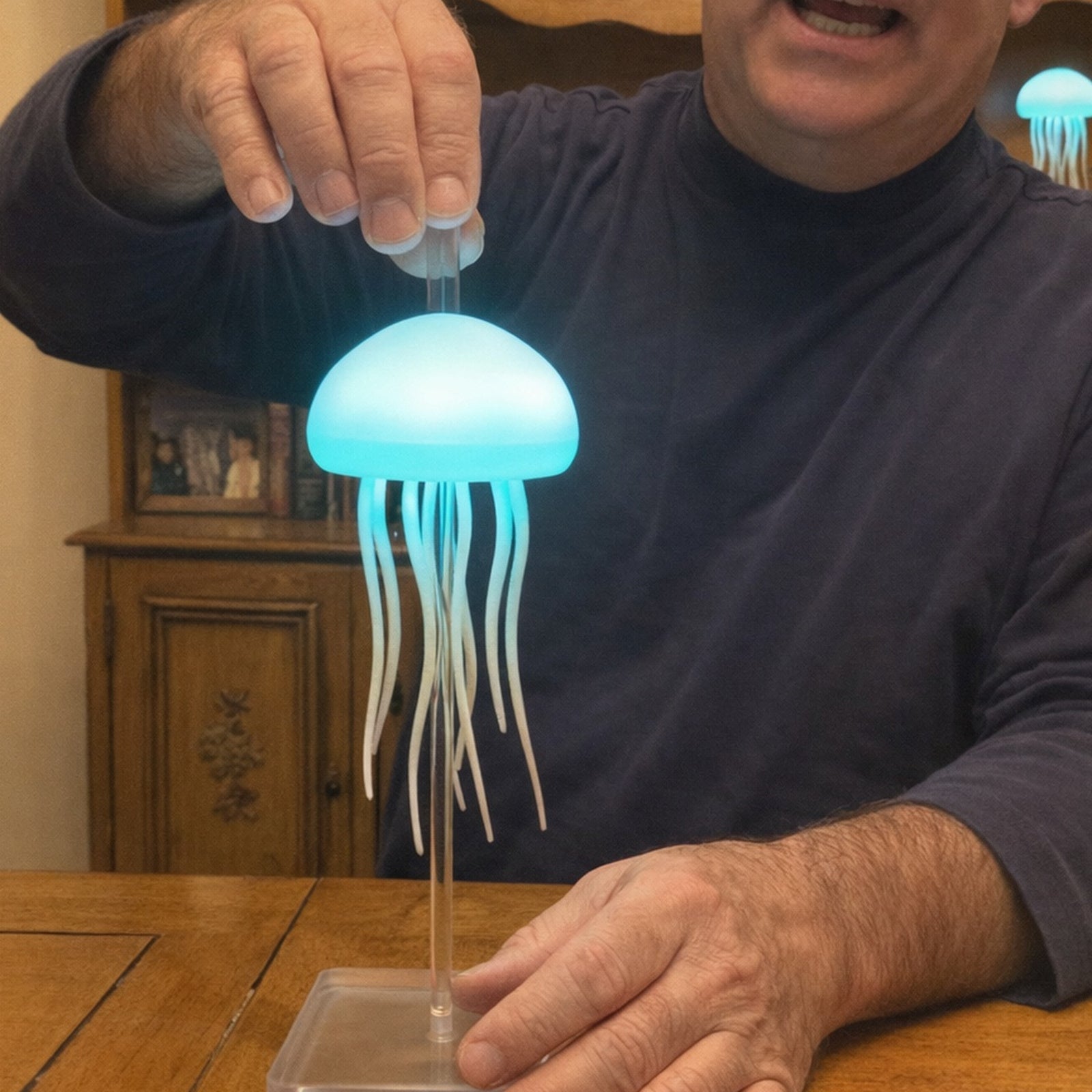 Two Dancing Glow Jellyfish lamps in Martin S.’s indoor room